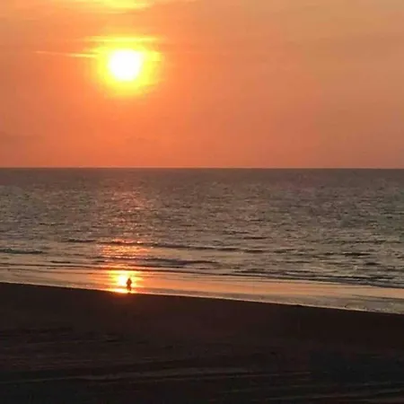 In Near The Sea