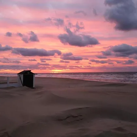 Apartment In Near The Sea *