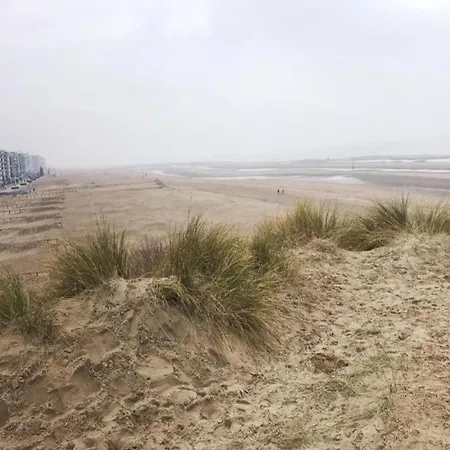 In Near The Sea Coxyde